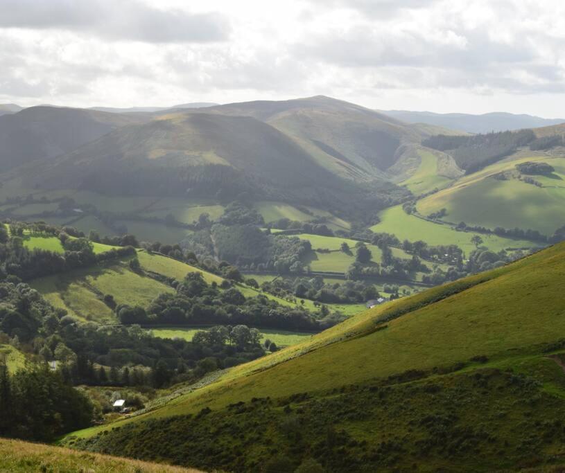 Luxury Lodge In The Treetops Llanbrynmair Bagian luar foto