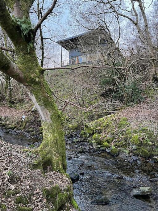 Luxury Lodge In The Treetops Llanbrynmair Bagian luar foto
