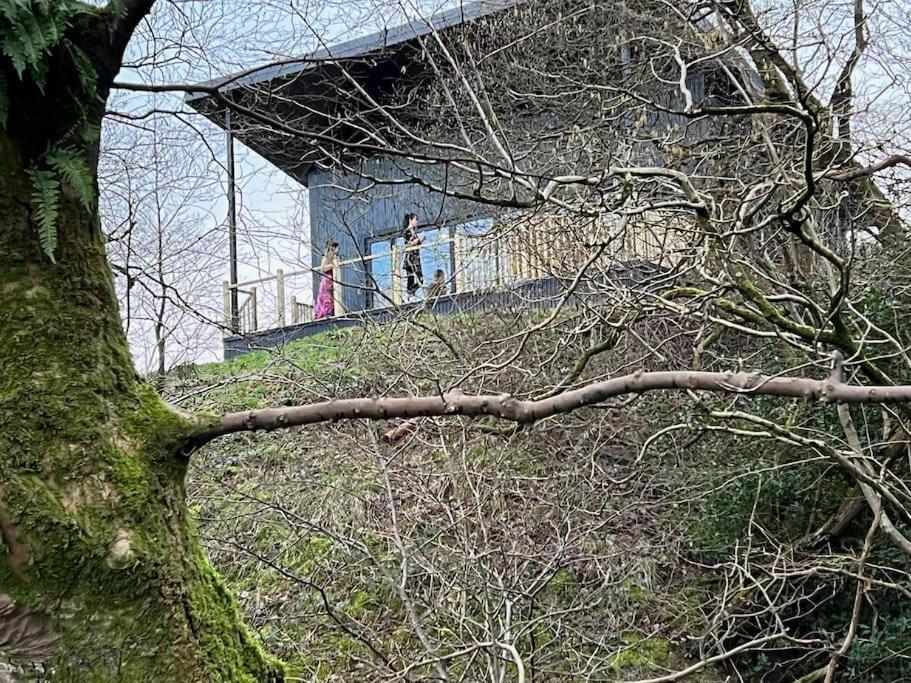 Luxury Lodge In The Treetops Llanbrynmair Bagian luar foto